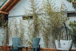 A serene terrace with pool, cozy chairs, and bamboo plants for a relaxing outdoor escape.